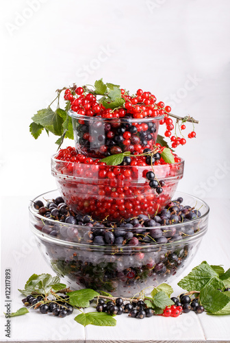 Black gooseberries blackcurrants and redcurrants. photo