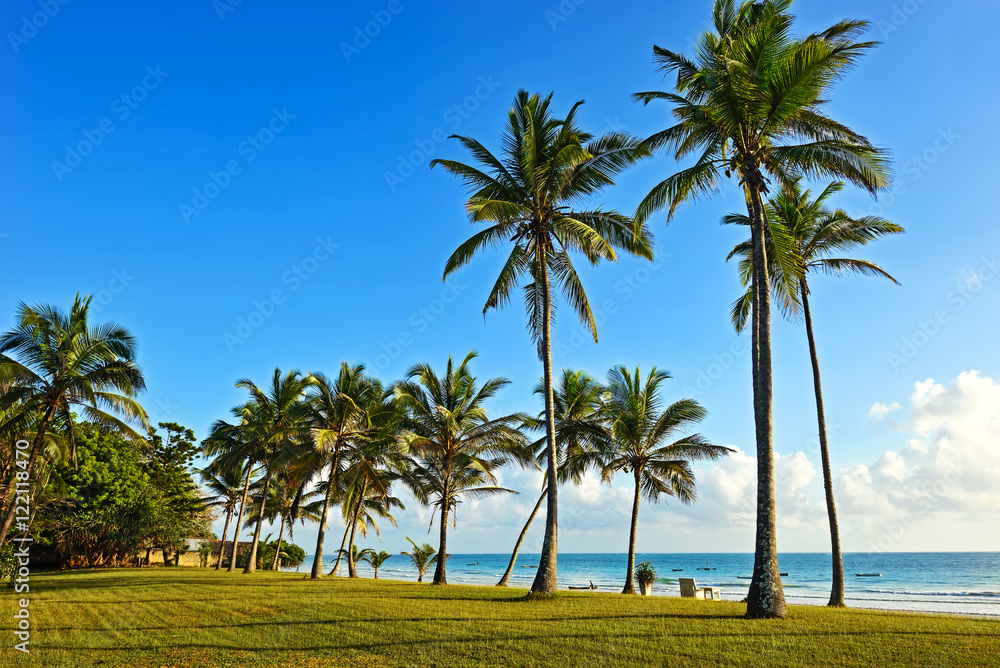 Naklejka premium Picturesque coast Diani