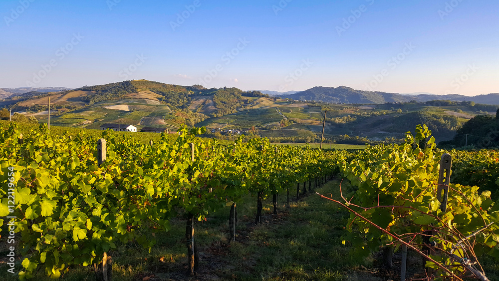 Oltrepò Pavese landscape with vineyards, Italy