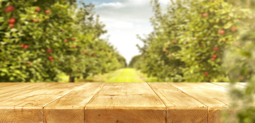apples and wooden table place 