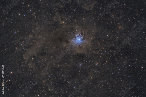 Fototapeta Naklejka Na Ścianę i Meble -  Irisnebel / Iris Nebula, NGC 7023