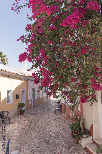 Old street with flowers in Ferragudo Algarve, Portugal