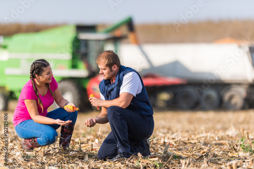 Farmers in corn fields during harvest photo