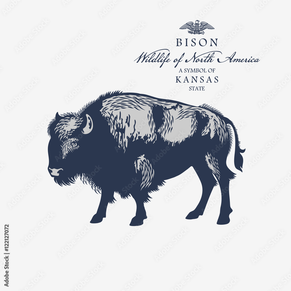 Символы техаса на дереве. Бизон символ сша. Символы сша. Миссисипи животный мир. Какое животное самый распространенный символ штатов.