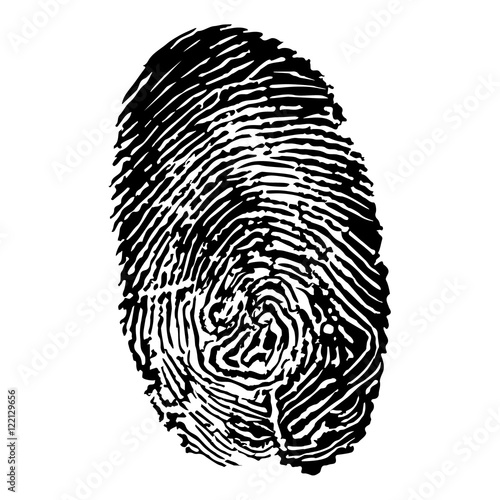 Finger print vector