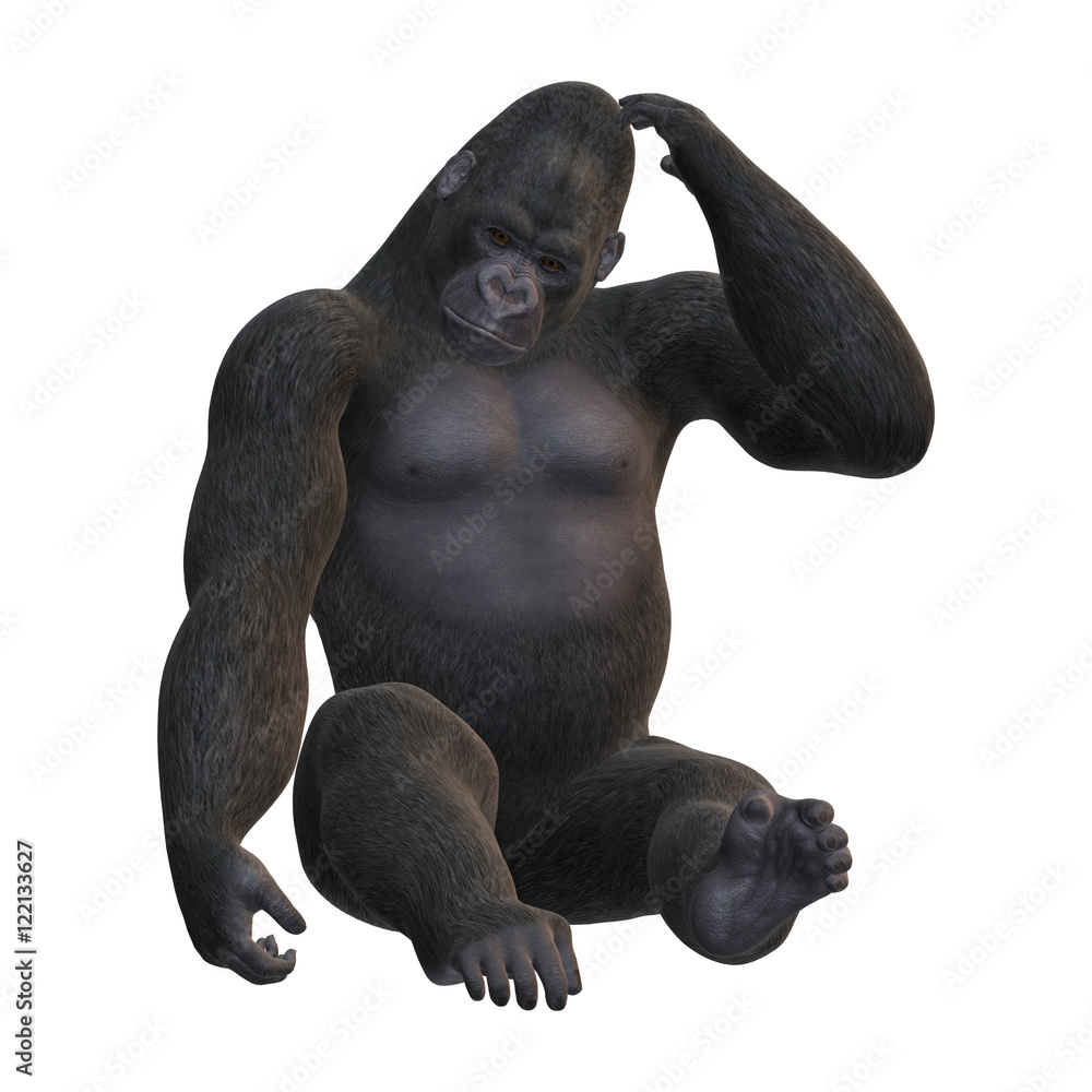 3D Rendering Gorilla on White