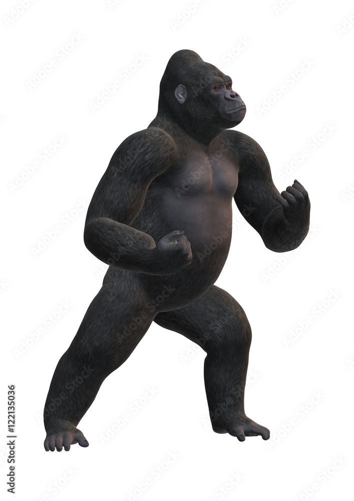 3D Rendering Gorilla on White