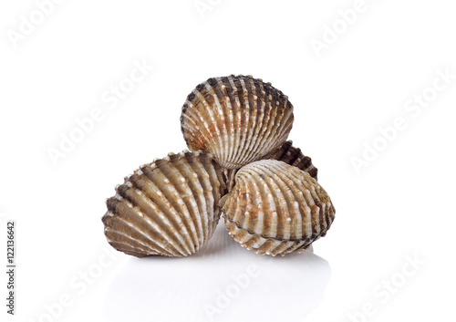 Fresh cockles so delicious on white background