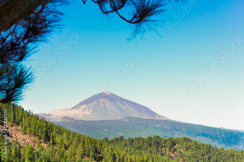volcan Teide with pine forest corona forestal, national park of Tenerife island, Spain