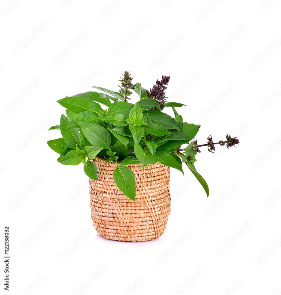 Naklejka premium Sweet Basil on white background