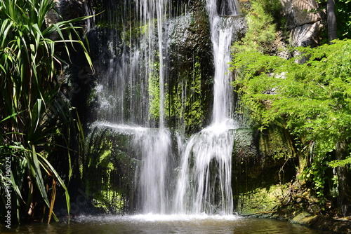 Fototapeta Naklejka Na Ścianę i Meble -  Tropical Waterfall