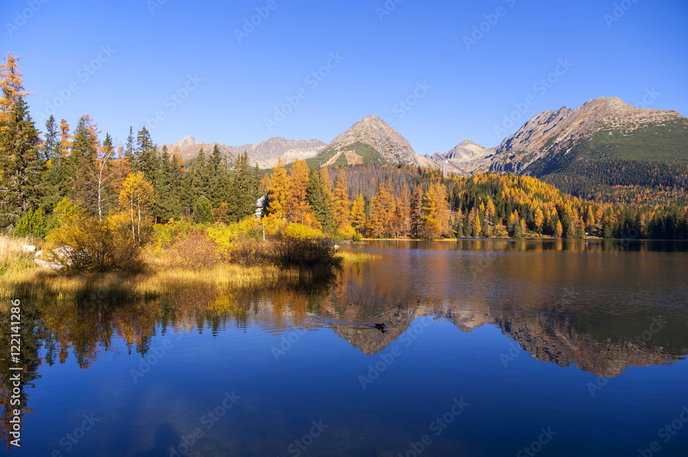 Wonderful view of the lake in the autumn