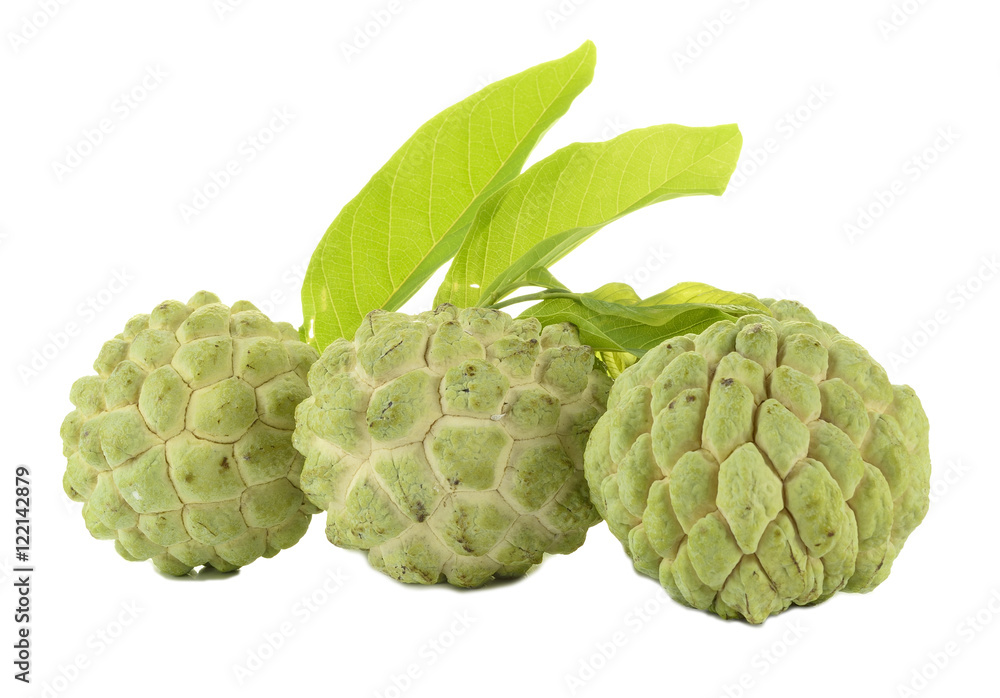 Custard apple fruit with white isolate background Custard apple fruit with white isolate background