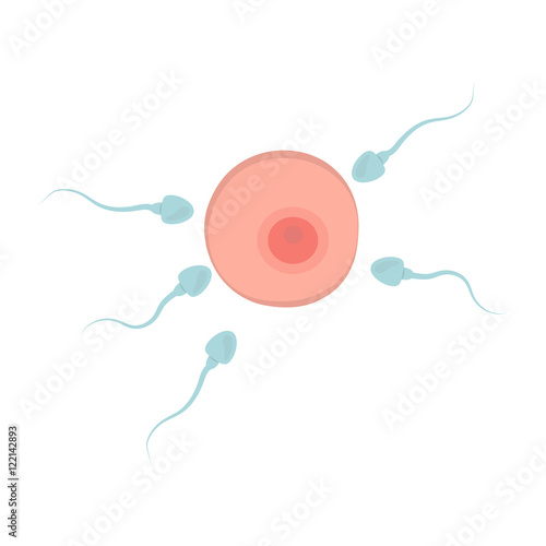 Fertilization icon in cartoon style isolated on white background. Pregnancy symbol stock vector illustration.
