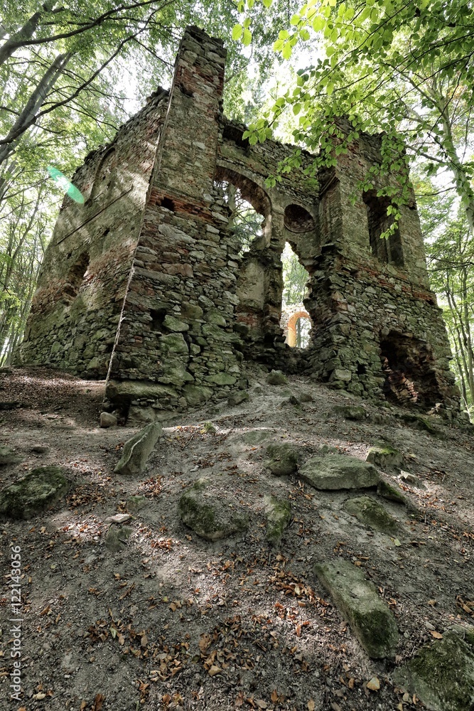 Ruins of the cathedral in the forest