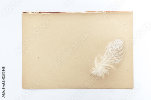 feather lying on sheets of vintage paper - natural history book style  photo