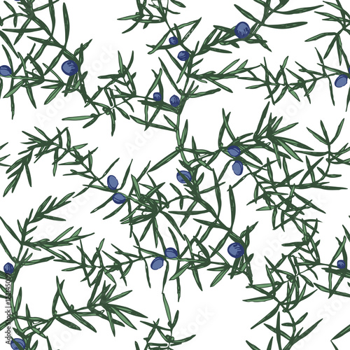 Seamless pattern with juniper brunches