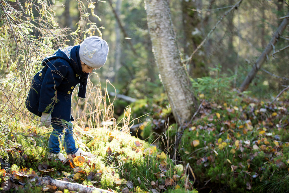 Cute Little Girl exploring autumn wood. Sunbeams on the tall trees. Yellow leaves on the grass and moss. Cold fresh air. Sweet curious kid standing on a moss at a spring stream. Cute Little Girl exploring autumn wood. Sunbeams on the tall trees. Yellow leaves on the grass and moss. Cold fresh air. Sweet curious kid standing on a moss at a spring stream.