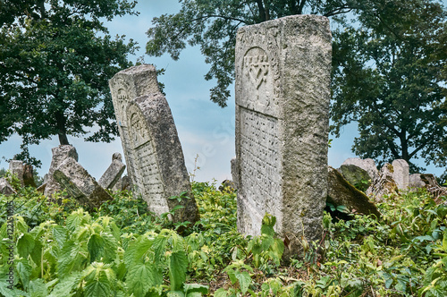 Gravestones in the Jewish cemetery photo