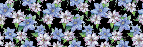 Wildflower clematis flower pattern in a watercolor style isolated. Full name of the plant  clematis  wisteria. Aquarelle flower could be used for background  texture  pattern  frame or border.