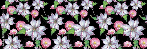 Wildflower clematis flower pattern in a watercolor style isolated. Full name of the plant  clematis  wisteria. Aquarelle flower could be used for background  texture  pattern  frame or border.