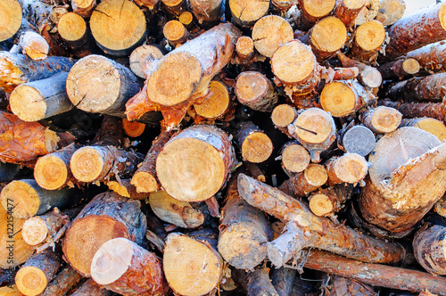 Pine fire wood