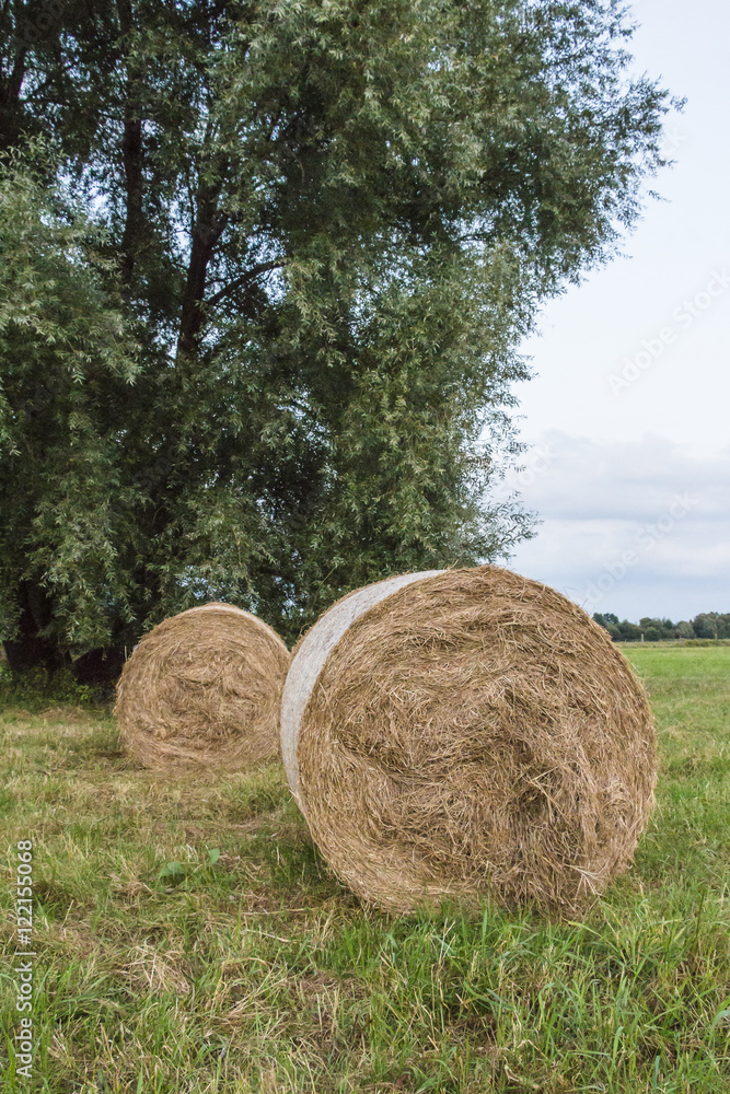 Strohballen auf Bremer Ackerfeldern Strohballen auf Bremer Ackerfeldern