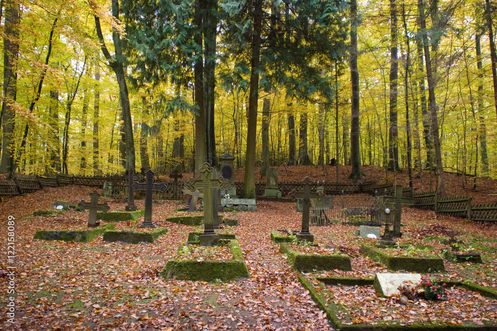 Cmentarz leśników w Pysznie na Kaszubach - obrazy, fototapety, plakaty 