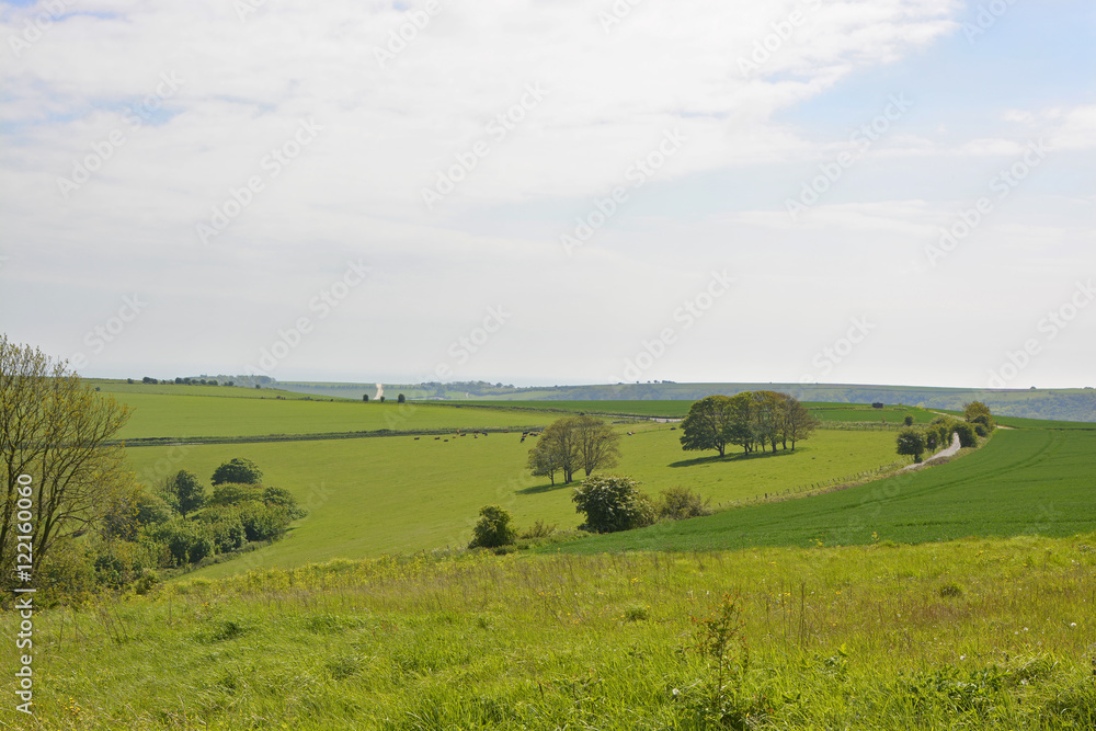 The South Downs countryside near Worthing, England