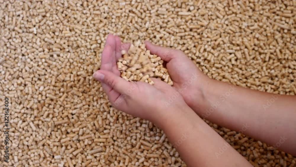 Wood pellets. .Biofuels . Wood pellets in female hands.The cat litter. Wood pellets. .Biofuels . Wood pellets in female hands.The cat litter.