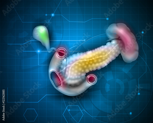 Pancreas and surrounding organs, gallbladder, small intestine and spleen detailed illustration on a scientific abstract background. 