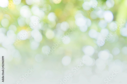 abstract bokeh background style, nature colorful blur background