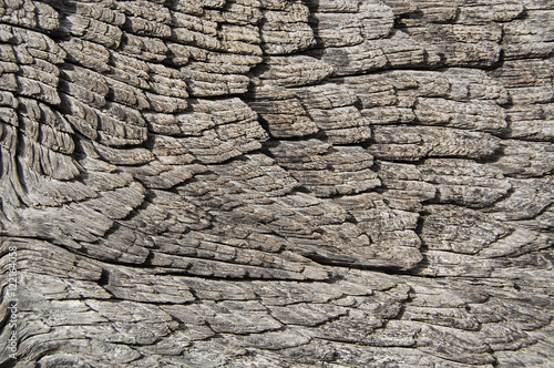 Wooden texture, wood background. © annavolotkovska