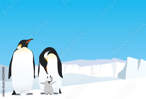 Emperor penguin family on the ice