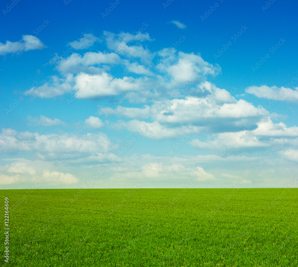 green grass field and a bright blue sky with clouds