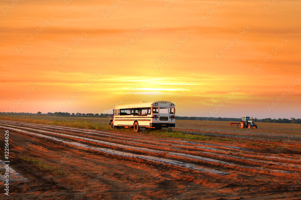 Old bus used to carry vegetables and fruits from fields Old bus used to carry vegetables and fruits from fields