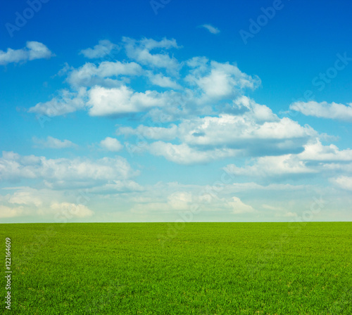 green grass field and a bright blue sky with clouds