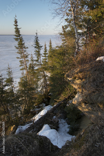 Shoreline Trees along Lake Winnipeg, Hecla Grindstone Provincial