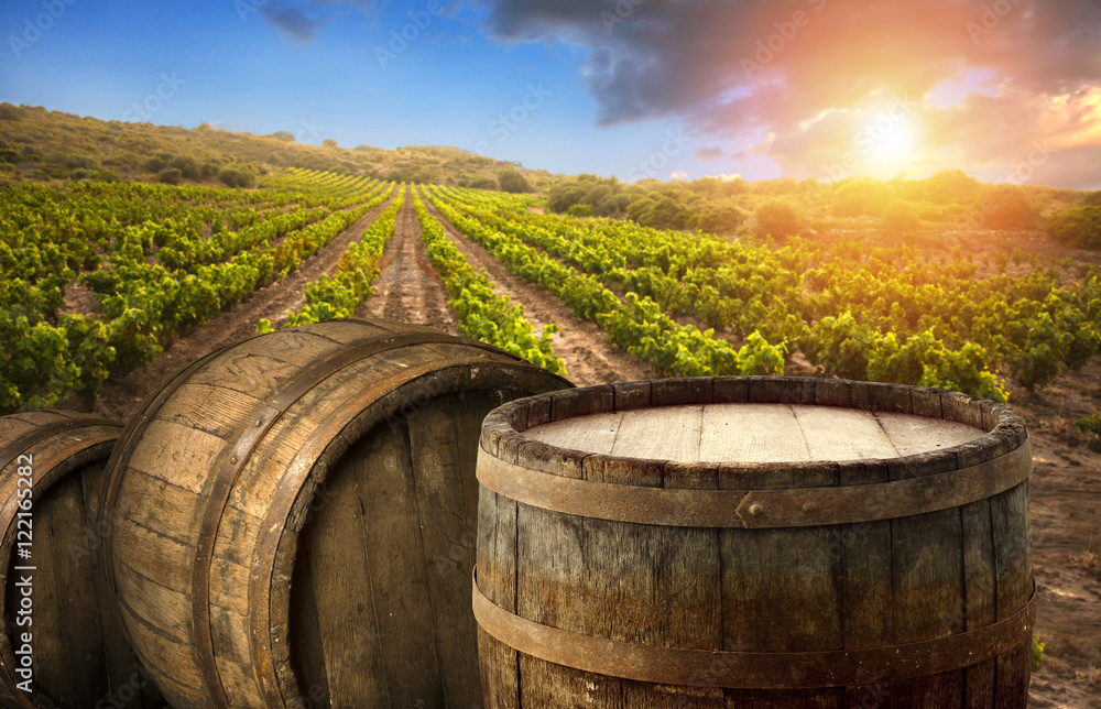 Red wine with barrel on vineyard in green Tuscany, Italy Red wine with barrel on vineyard in green Tuscany, Italy