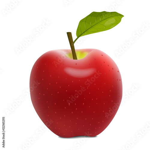 illustration of red apple