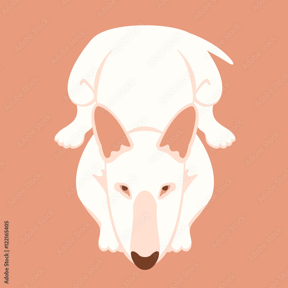 Naklejka premium dog bull terrier lying vector illustration style flat