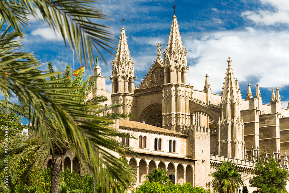 XXX - Kathedrale la Seu in Palma de Mallorca - 2834