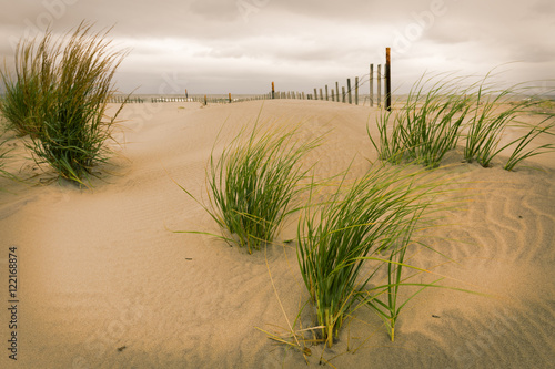 Fototapeta Naklejka Na Ścianę i Meble -  White sand dunes with a fence and grass.