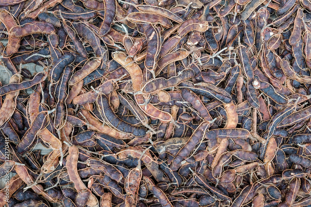 Tamarind Tamarind