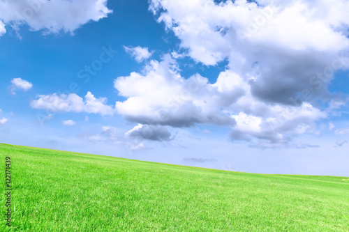 grass field under blue sky