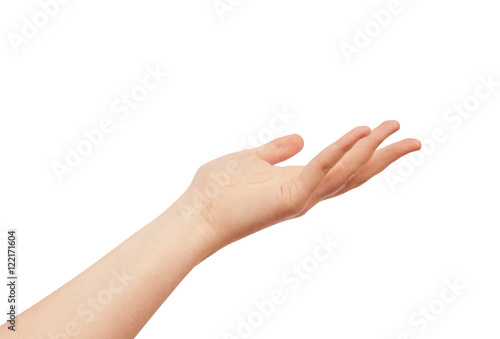 Human hand isolated