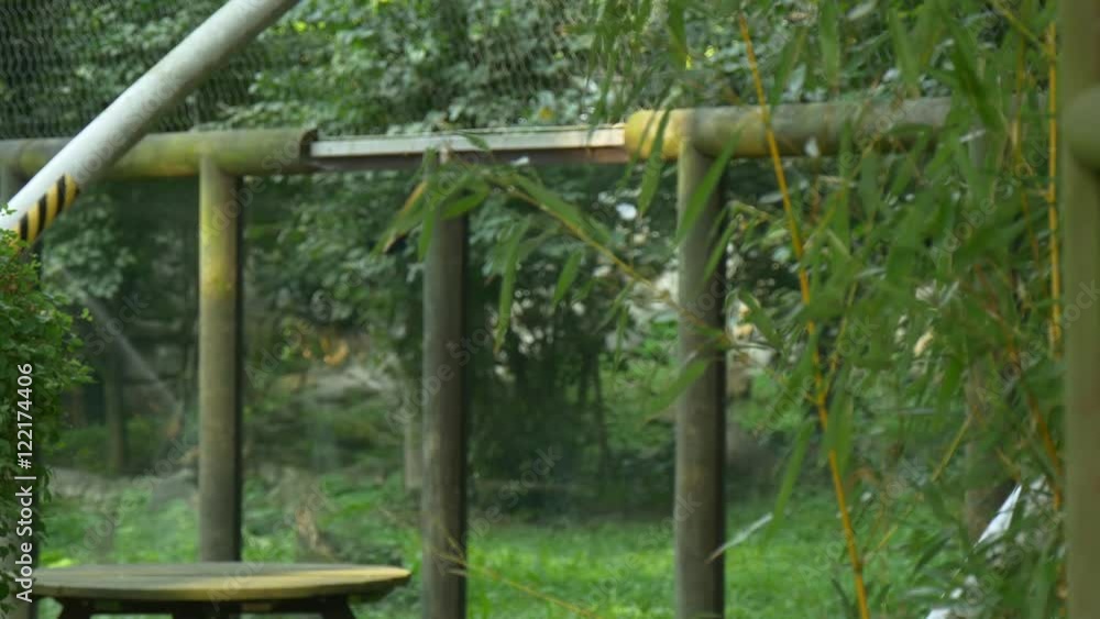 Woman Looks at Animals Who Are in Glass Cages Woman Looks at Animals Who Are in Glass Cages