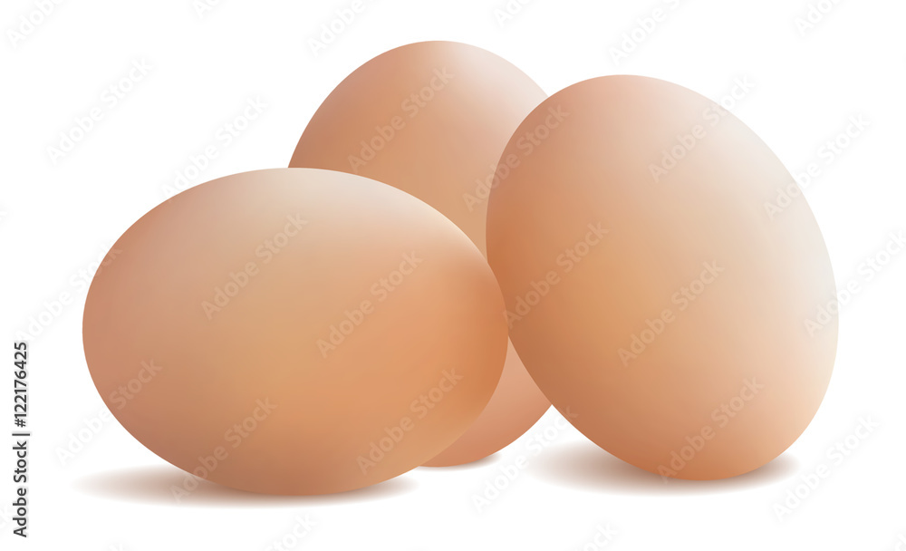 Fresh chicken eggs. Vector illustration . Fresh chicken eggs. Vector illustration .