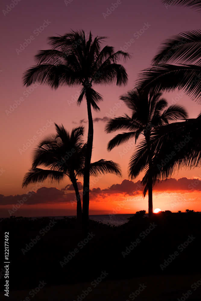 Palm trees silhouetted against a purple and orange sky at sunset
