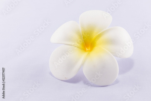 White artificial plumeria